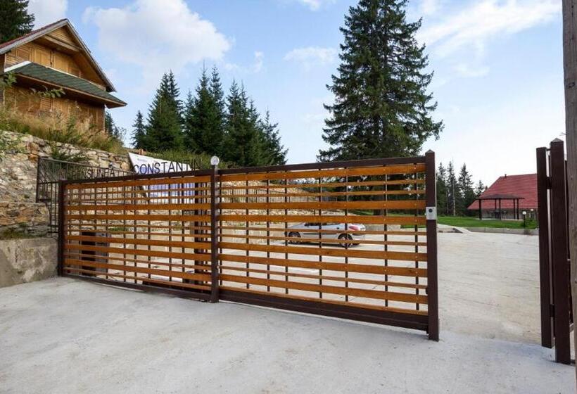 Hotel Pensiunea Constantin