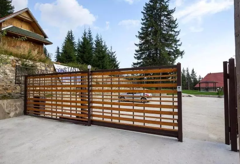 Hotelli Pensiunea Constantin