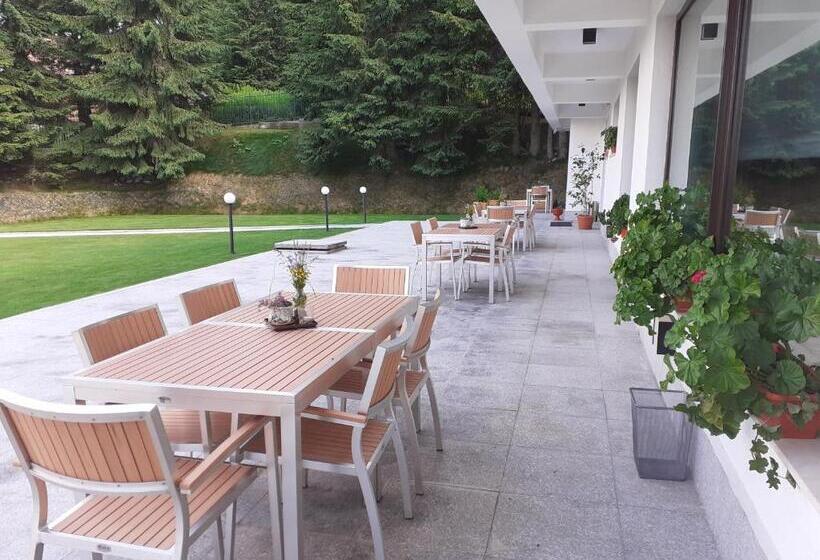 Hotel Pensiunea Constantin