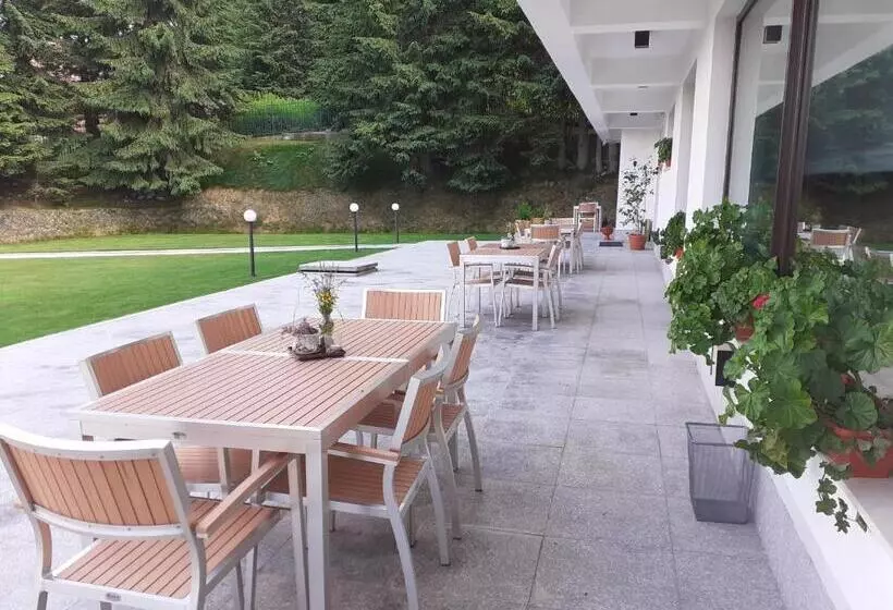 Hotelli Pensiunea Constantin