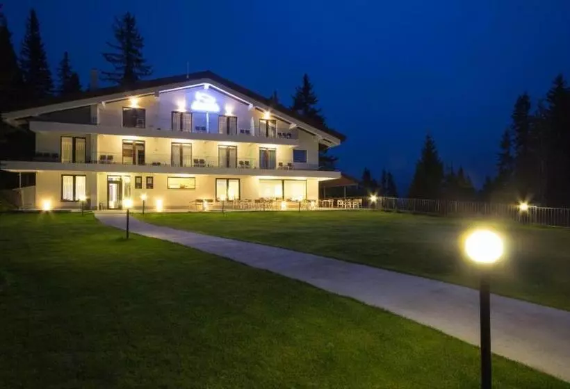 Hotelli Pensiunea Constantin