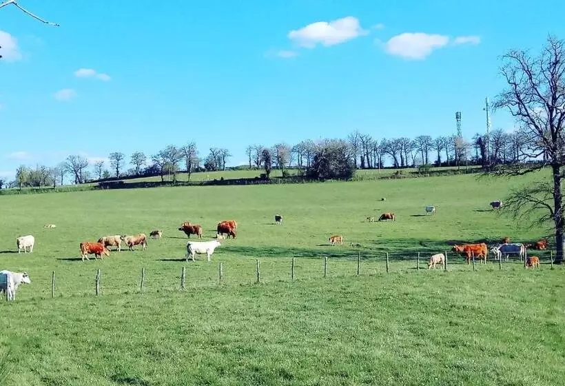 ペンション Hostellerie Des Voyageurs