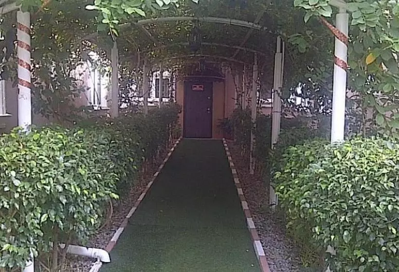 Majatalo Room In Apartment   Auris Court   Economy