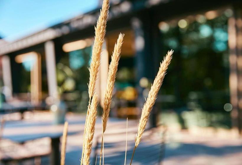 بنسيون Tiny House By Lieblingsplatz