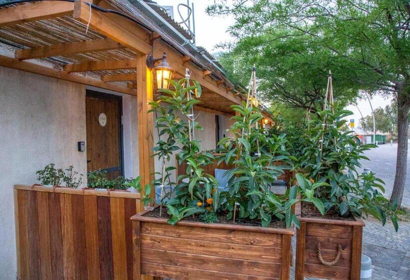 בית מלון כפרי Luna Resort   Mitzpe Ramon