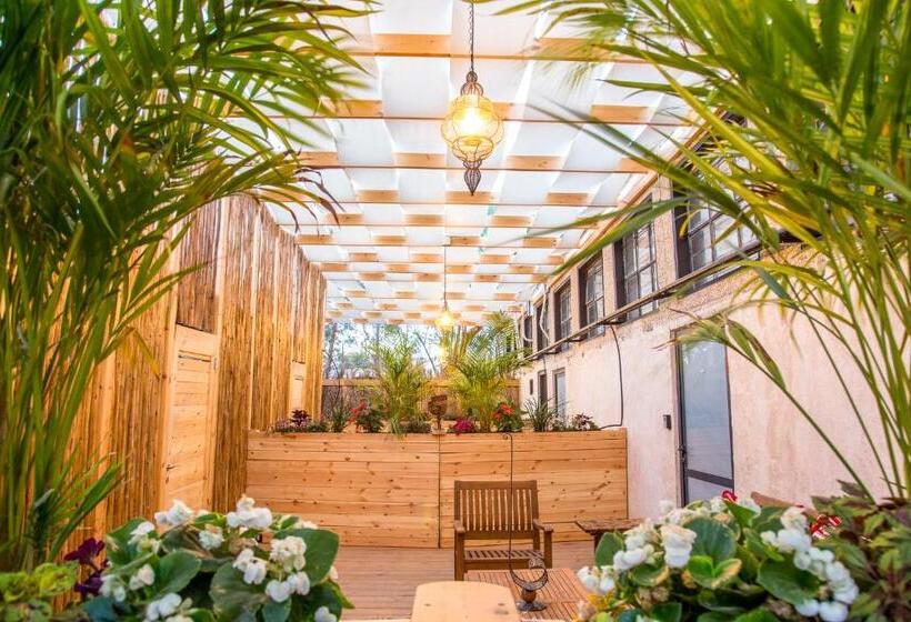 בית מלון כפרי Luna Resort   Mitzpe Ramon