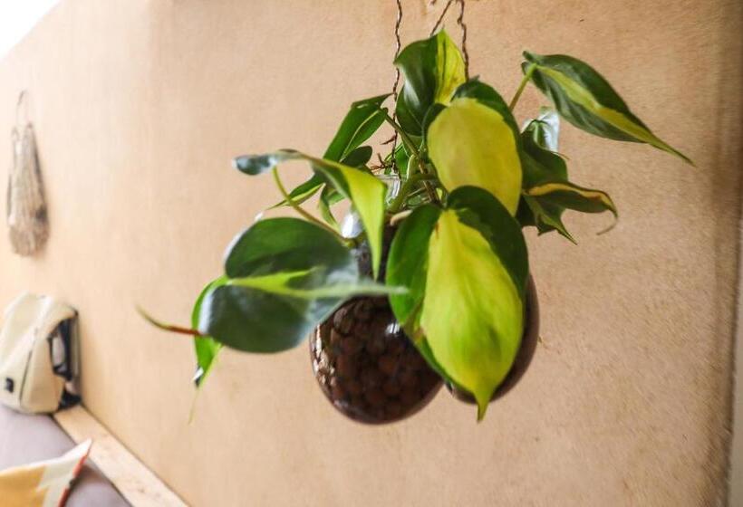 בית מלון כפרי Luna Resort   Mitzpe Ramon