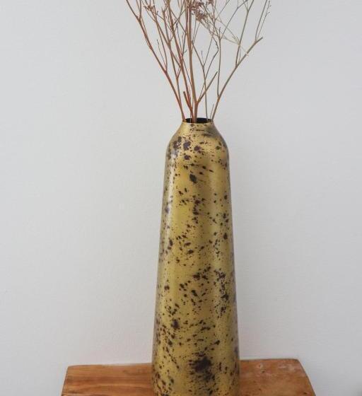 בית מלון כפרי Luna Resort   Mitzpe Ramon