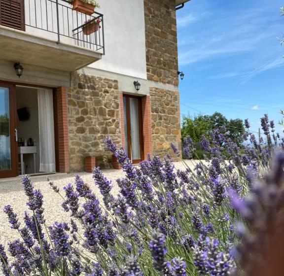 פנסיון Podere Belsogno Bilocale Ulivo