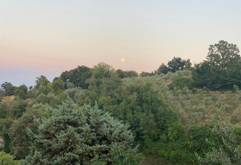 Пансион Podere Belsogno Bilocale Ulivo