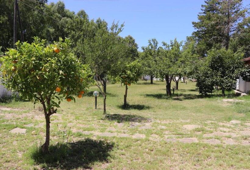 بنسيون Villa Lughente