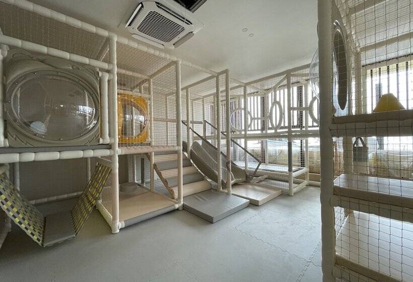 Tomonoya Hotel & Ryokan Daecheon