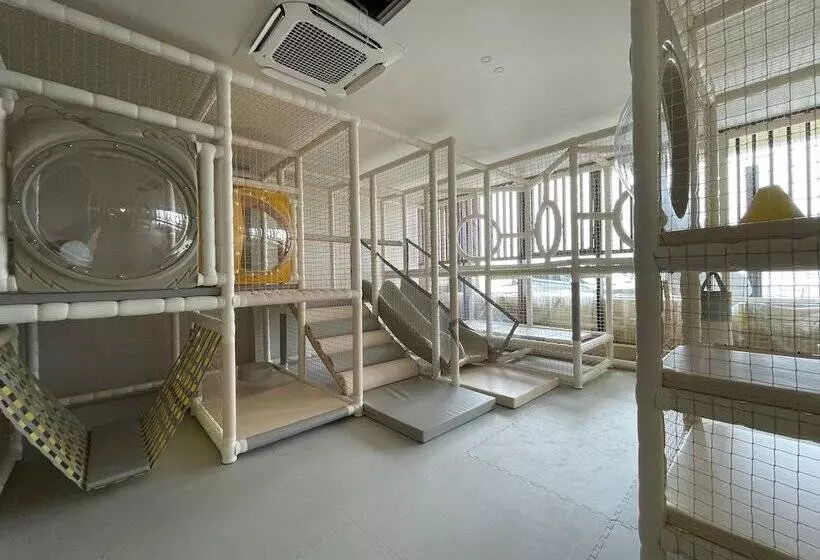 Tomonoya Hotel & Ryokan Daecheon