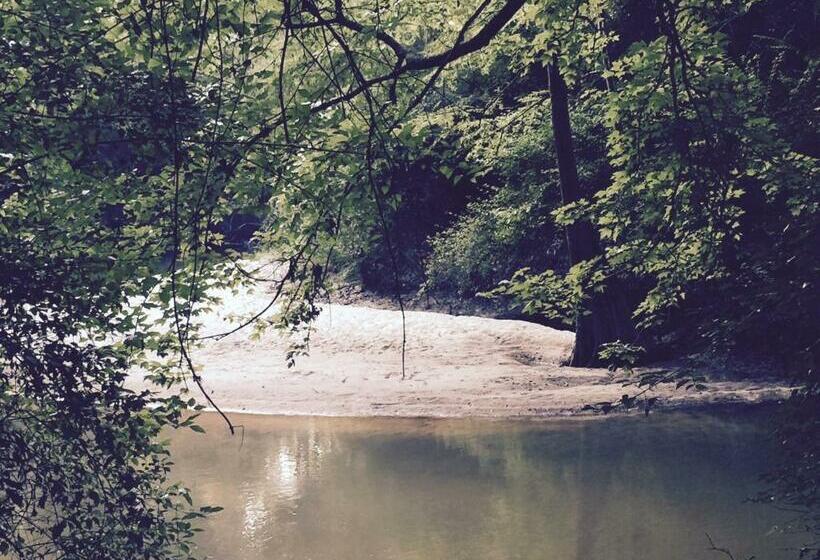 مبيت وإفطار The Meadow Cabin