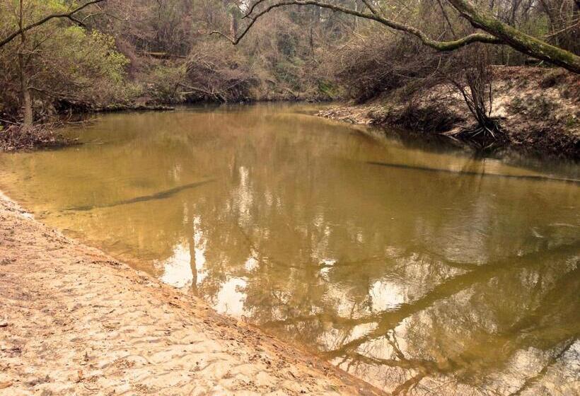مبيت وإفطار The Meadow Cabin