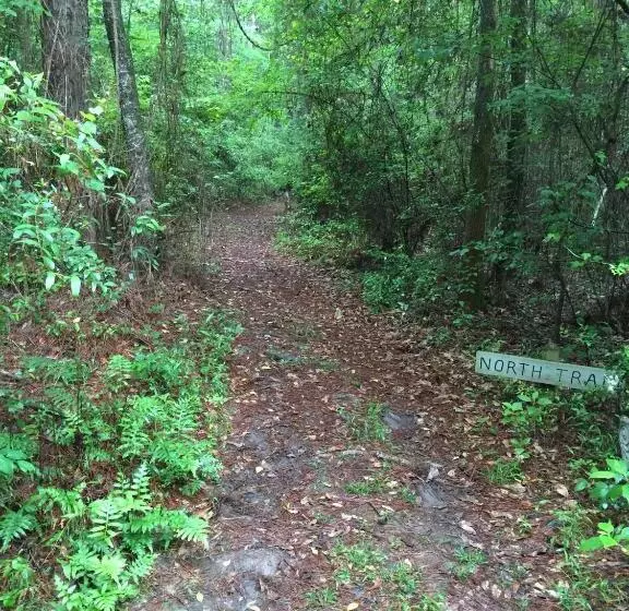 Aamiaismajoitus (B&B) The Meadow Cabin