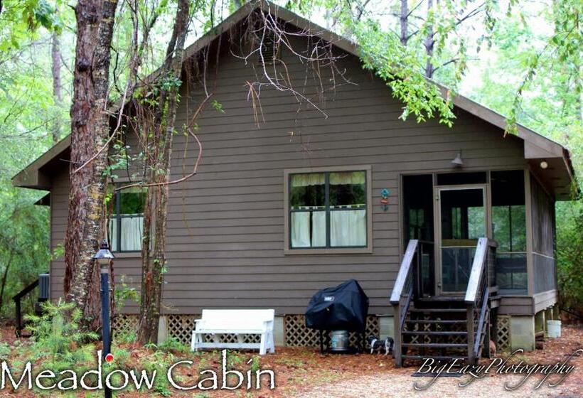 مبيت وإفطار The Meadow Cabin