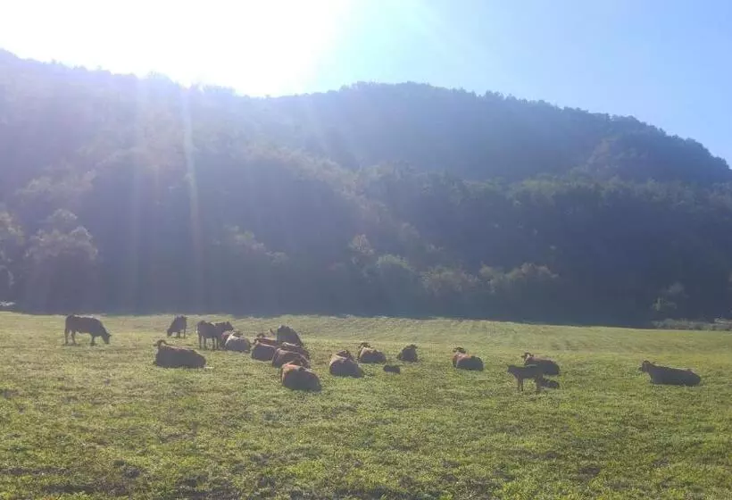 ホテル Agriturismo Francini