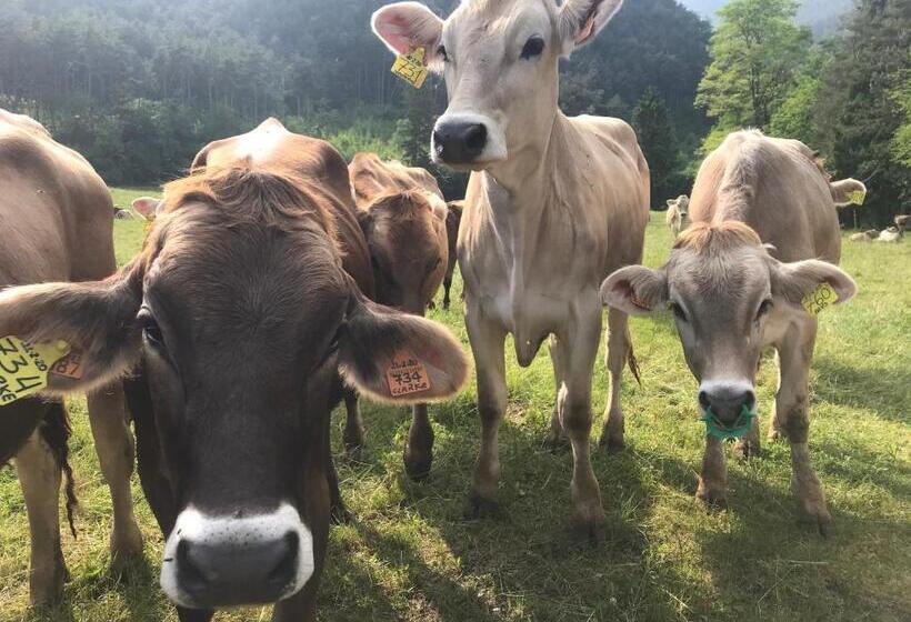 ホテル Dimora Natura Riserva Naturale Valle Di Bondo