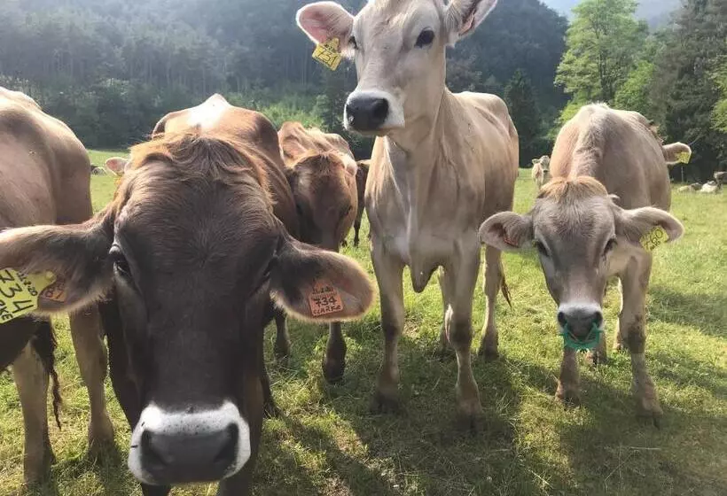 ホテル Dimora Natura Riserva Naturale Valle Di Bondo