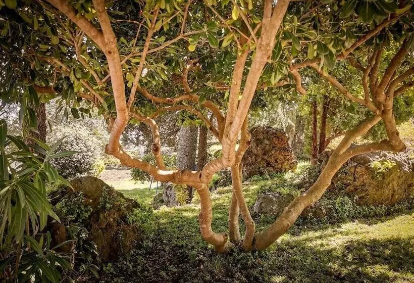 Hotelli Santoro Country House