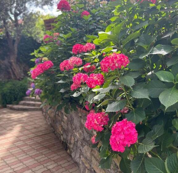 Отель The Time  Home &