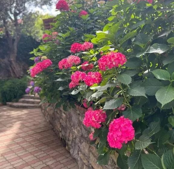 Hotelli The Time  Home &