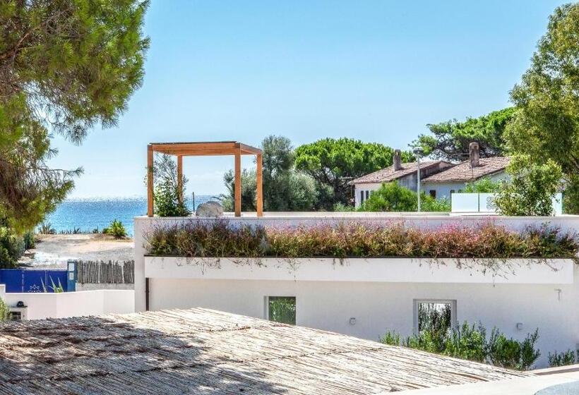 Noha Lifestyle Hotel   Adults Only