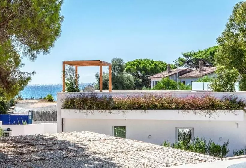 Noha Lifestyle Hotel   Adults Only