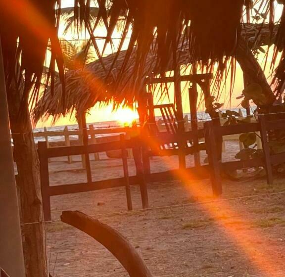 پانسیون älanacasadeplaya