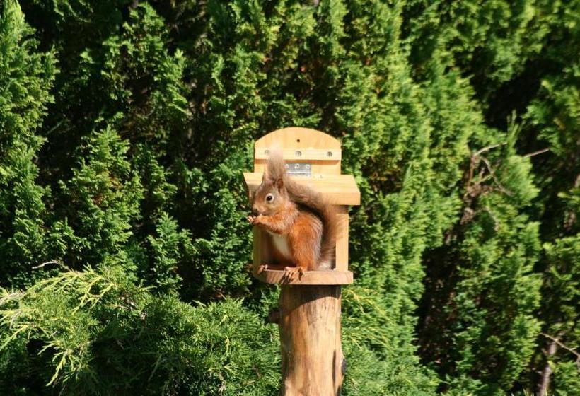 ペンション Arrandale House