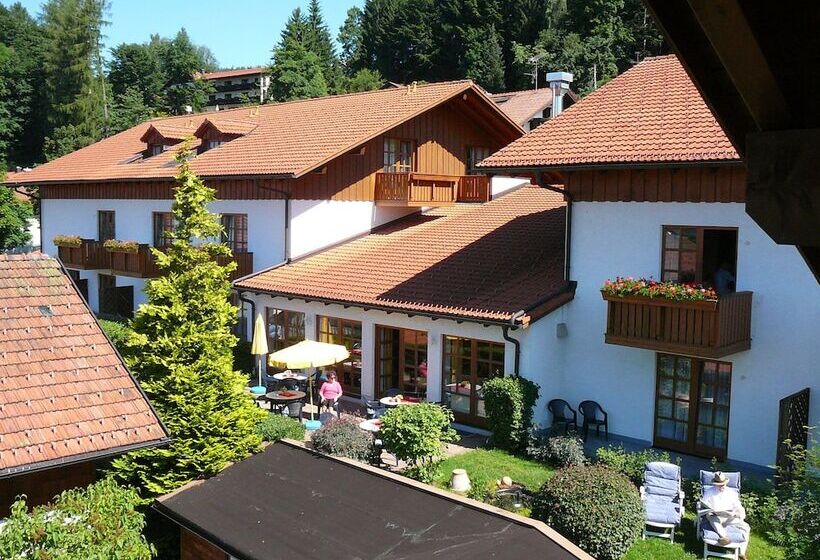 Ferien  Und Aktivhotel Zum Arber