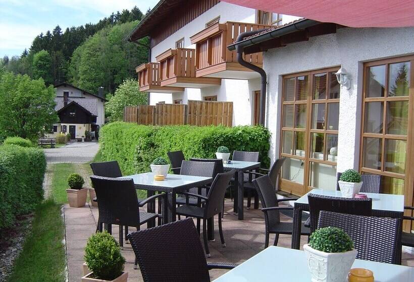 Ferien  Und Aktivhotel Zum Arber