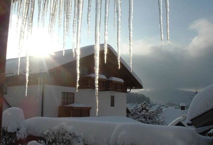 Ferien  Und Aktivhotel Zum Arber