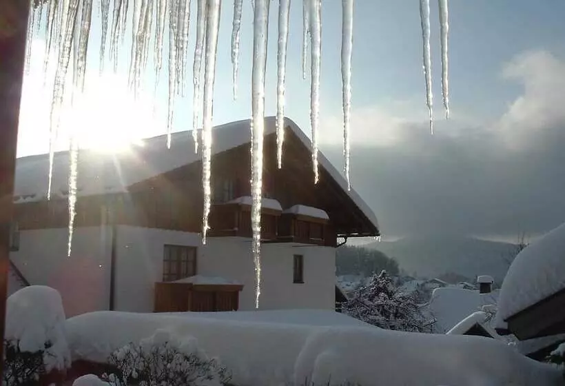 Ferien Und Aktivhotel Zum Arber