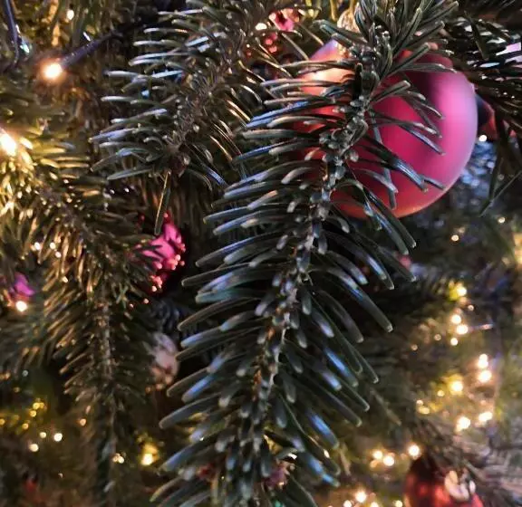 Отель Ampervilla