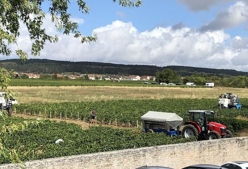 Hotel Authentic By Balladins Dijon / Marsannaylacote