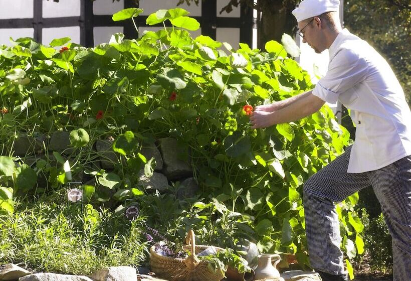 酒店 Bad Griepshop