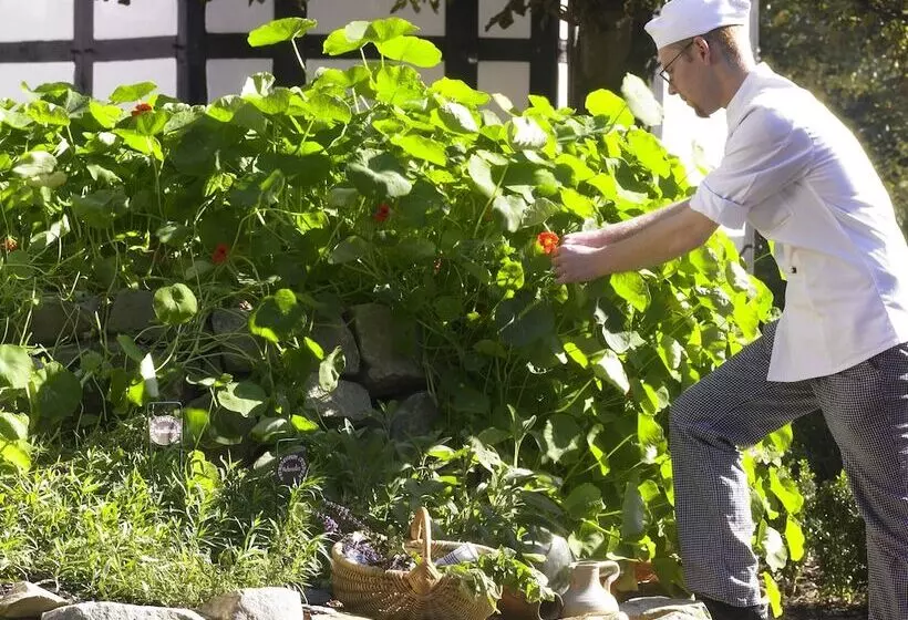 Отель Bad Griepshop