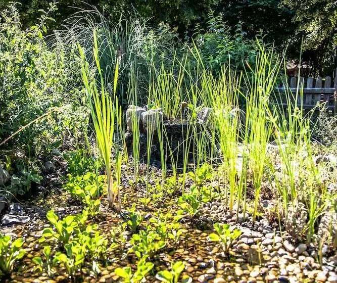 酒店 Dreimadelhaus  Kirchseelte