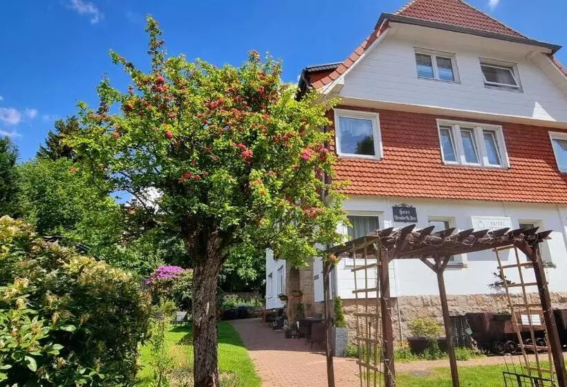 هتل Elisabeth Ilse