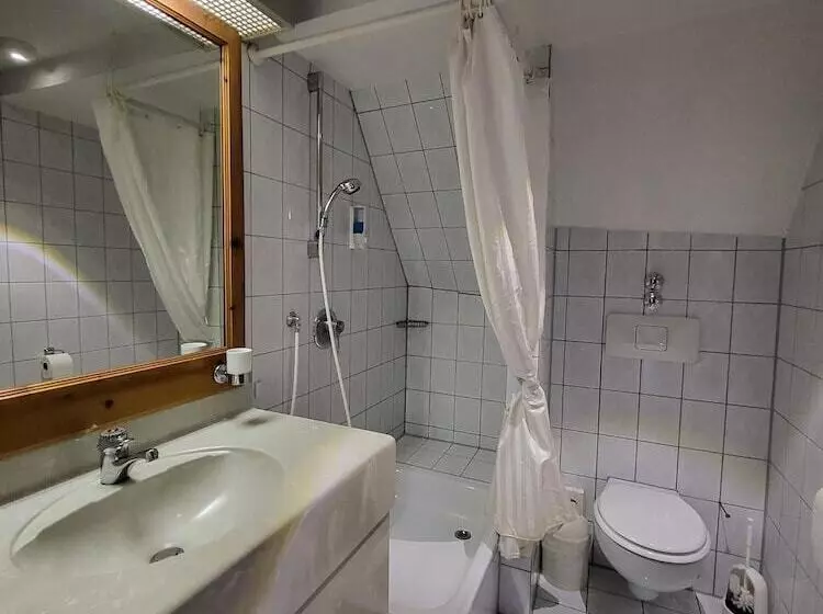 Historik Hotel Ochsen