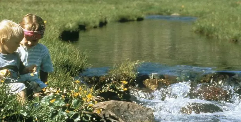 Отель Résidence Les Chaumettes
