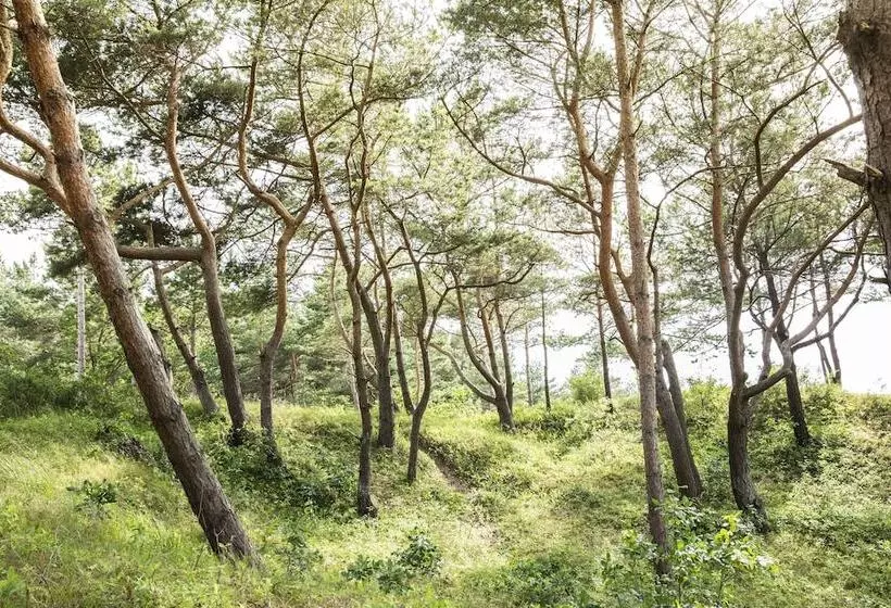 Strandhotel Fischland