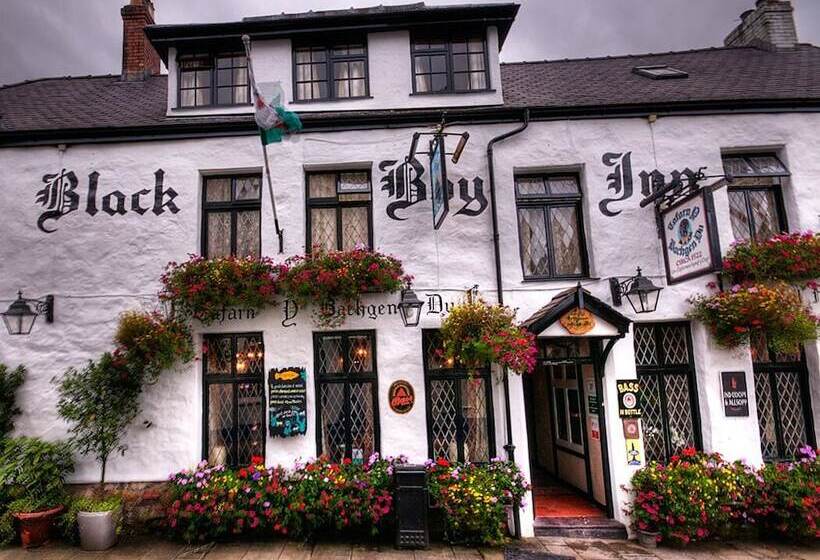 فندق The Black Boy Inn