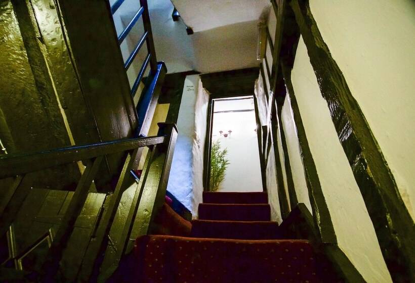 فندق The Black Boy Inn