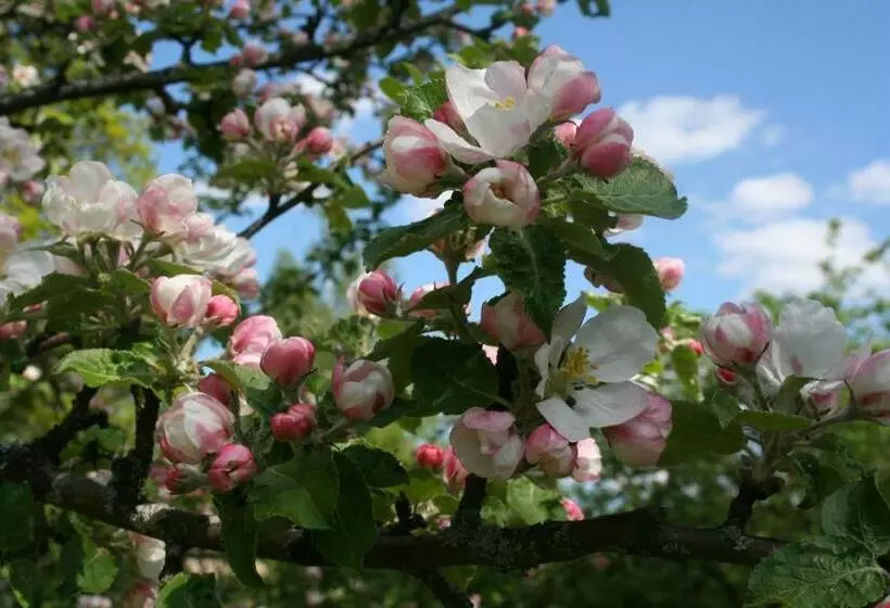 Aamiaismajoitus (B&B) Gästrum Gnottnehult
