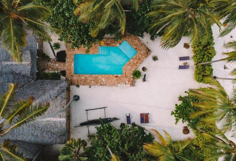 Отель Raha Lodge Zanzibar Boutique