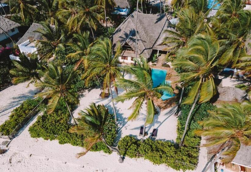 Отель Raha Lodge Zanzibar Boutique