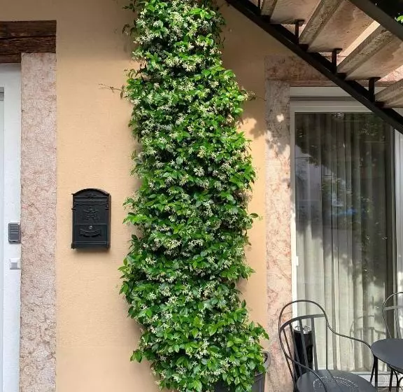 پانسیون Villa Jasmine